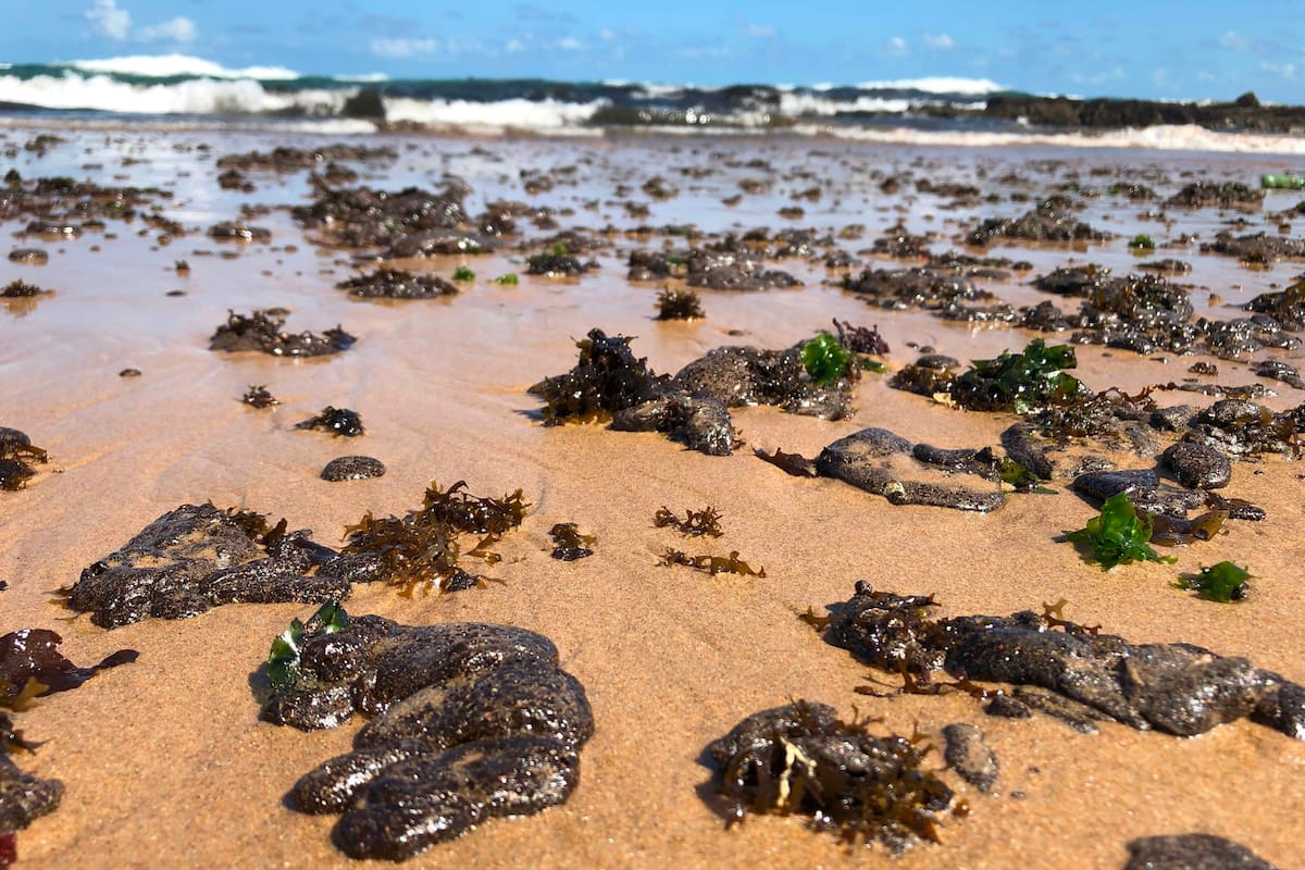Una mancha de petróleo avanza hacia la costa brasileña de Todos los Santos, la segunda bahía más grande del mundo