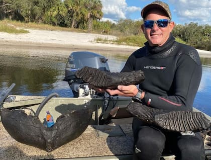 Una mandíbula de mamut fue descubierta en un río de Florida