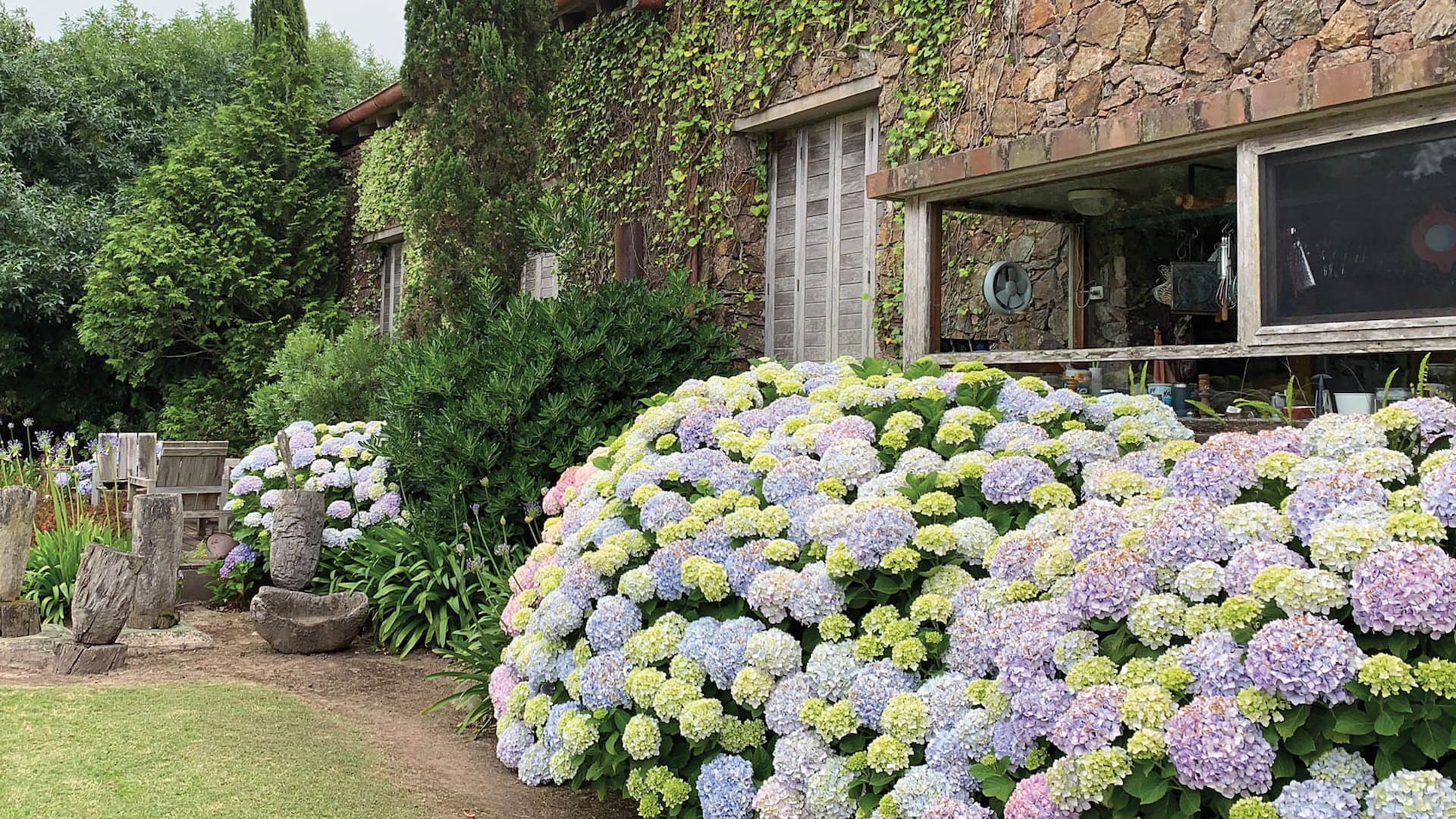 Hortensia, de nombre científico Hydrangea macrophylla. Es originaria de Japón y es la especie más difundida y más cultivada.