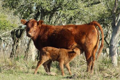Una mejora en la eficiencia permite más producción