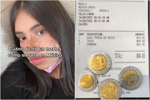 Una mesera mexicana exhibió con sus seguidores la cantidad que recibe al día por propinas en su trabajo como mesera, además contó que entrega una parte a otros empleados del restaurante