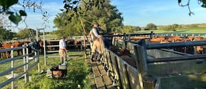 Un campo bonaerense paga hasta 13 veces más impuestos que en Santa Fe