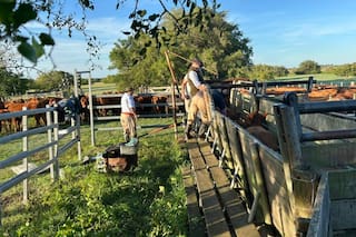 Un campo bonaerense paga hasta 13 veces más impuestos que en Santa Fe