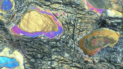 Una muestra de la roca examinada con microscopio