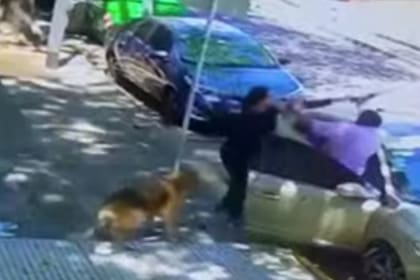 Una mujer atacó a un hombre a palazos por que le dijo que juntara la caca de su perro, la víctima terminó con severas heridas en su cabeza, fue en el barrio de Boedo