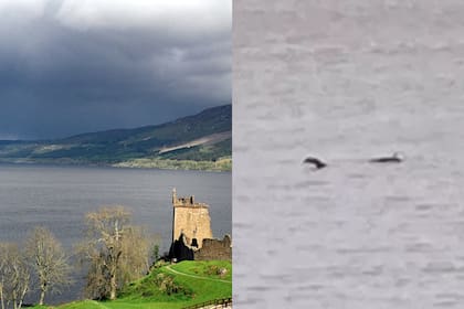 Una mujer capturó una foto de lo que parecería ser el monstruo del Lago Ness
