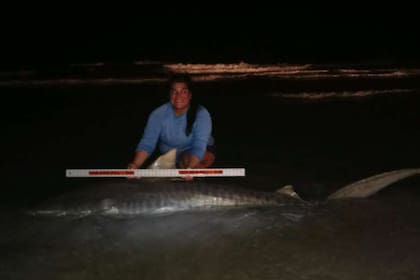 Una mujer cazó un tiburón de 136 kilos con una caña casera