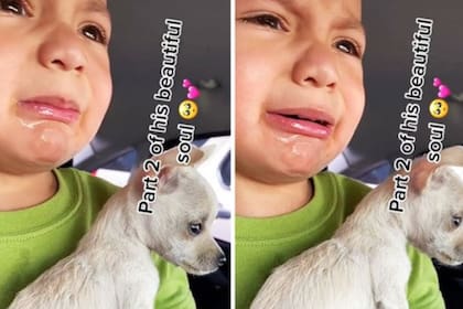 Una mujer compartió la reacción de su hijito al ver la primera vacunación de su cachorro y la escena se hizo viral. Imagen: TikTok
