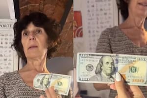 Una mujer contó que una huésped de su hotel le dejó 100 dólares de propina para su gato