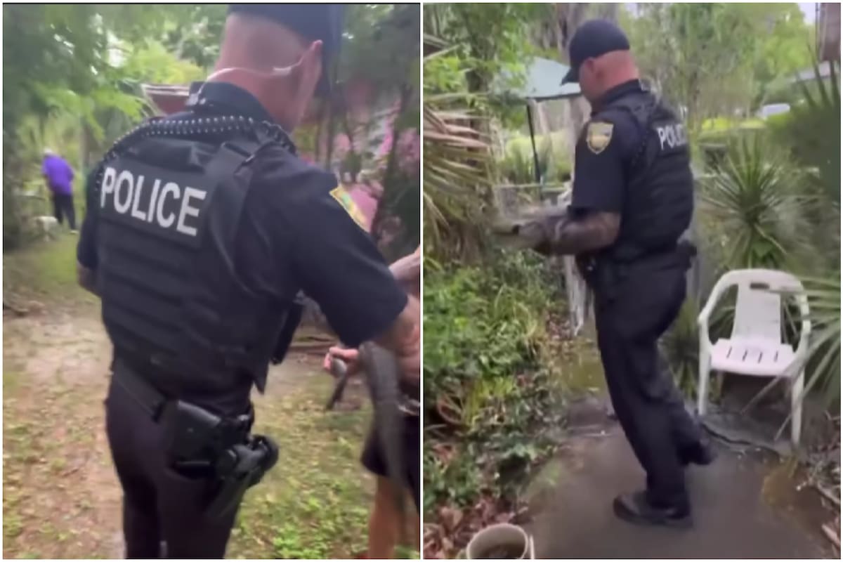 Una mujer de 104 años llamó a la policía luego de que se le apareciera un caimán en el patio de su casa en Jacksonville