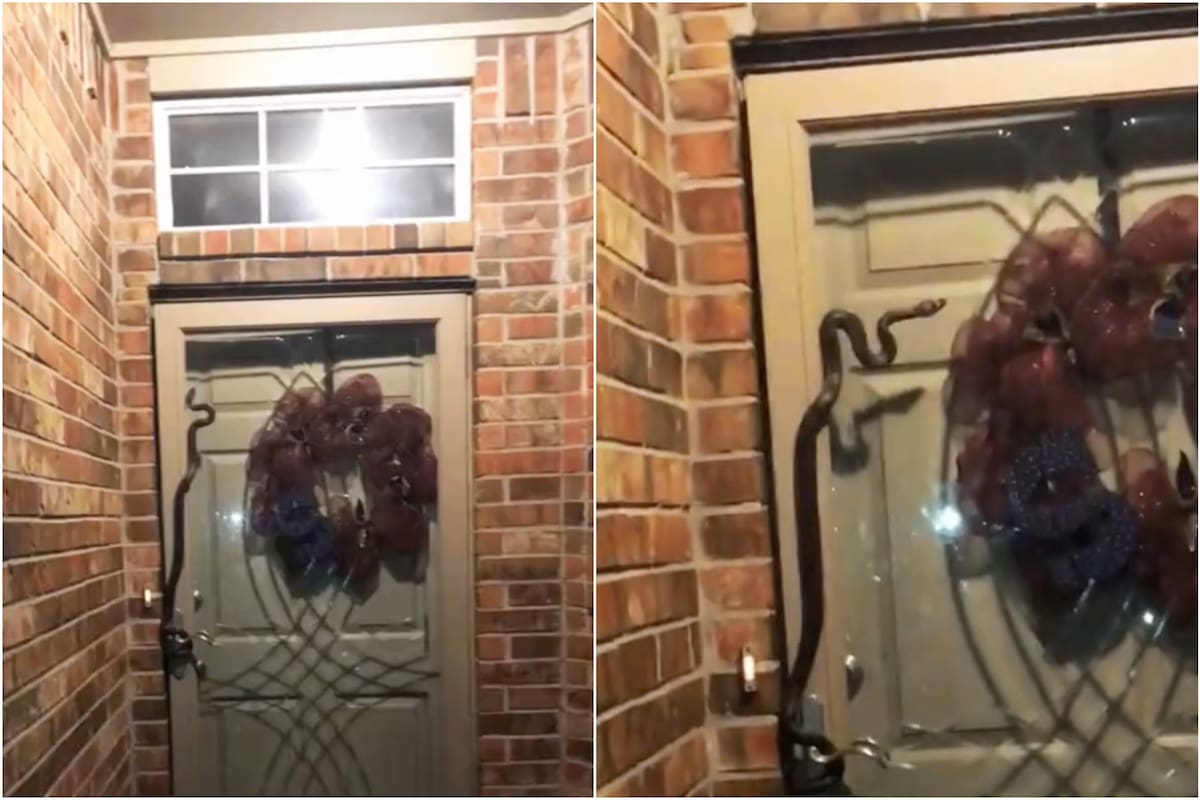 Una mujer de Oklahoma compartió en sus redes sociales un video en el que muestra cómo, al volver del trabajo, se encontró con una serpiente en la puerta de su casa
