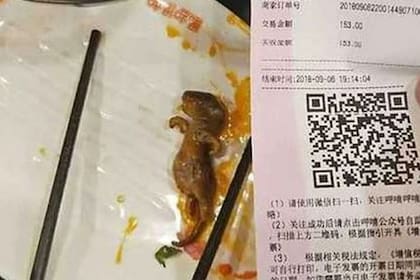 Una mujer denunció que encontró una rata en su plato de sopa