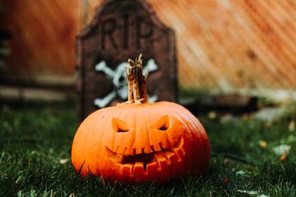 Una mujer encontró información confidencial adentro de su calabaza