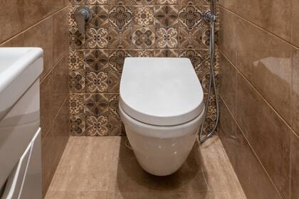 Una mujer estadounidense hizo un inesperado hallazgo en el baño de su casa