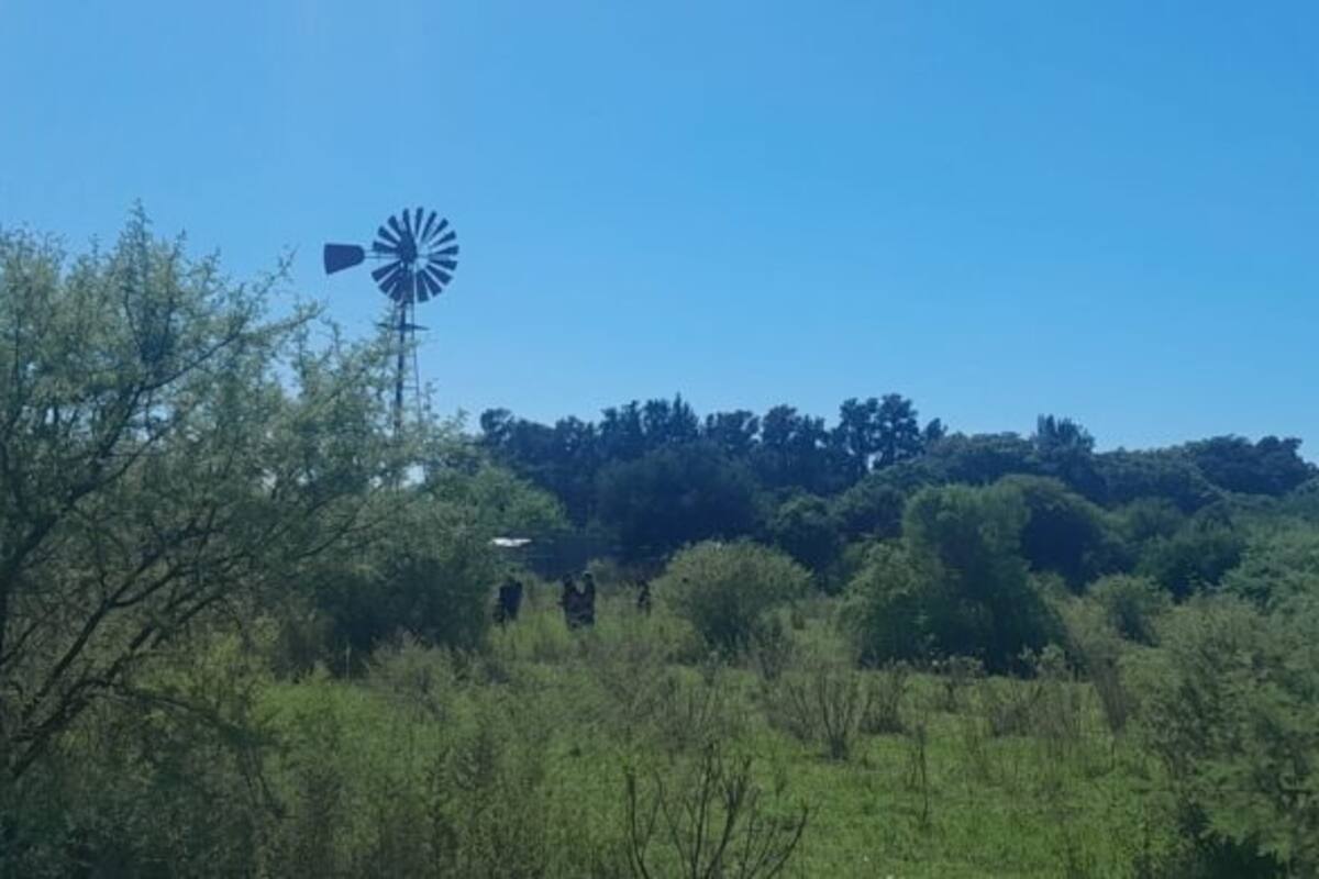 Una mujer falleció al ser embestida por un toro en la localidad santafesina de Vera