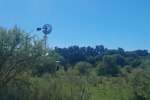 Una mujer falleció al ser embestida por un toro en la localidad santafesina de Vera