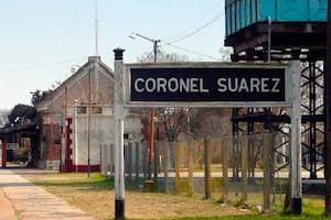 Una mujer falleció por rabia tras ser mordida por un gato callejero en Coronel Suárez