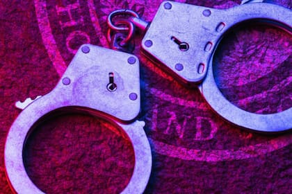 Una mujer fue arrestada en Tampa mientras tramitaba su ciudadanía