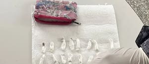 Una mujer fue detenida luego de que le encontraran 71 bolsas de cocaína a su hijo en el jardín
