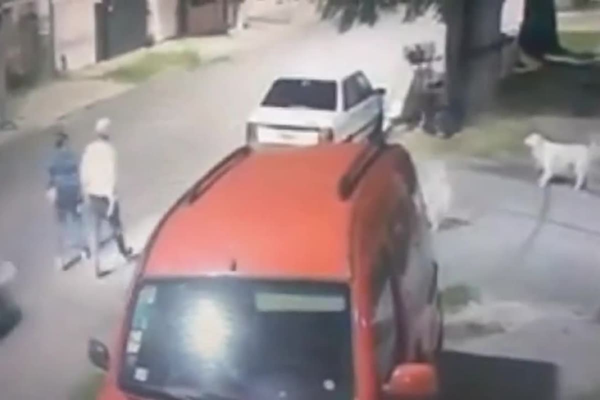 Una mujer fue violentamente atropellada por un auto en Lanús y vivió para contarlo