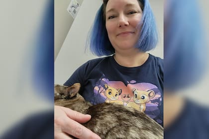 Una mujer halló a la gata y la rescató (Foto Facebook Brandy Hunter)
