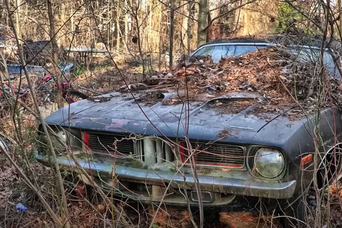 Una mujer heredó una colección de autos abandonados en el jardín de la casa de sus padres muertos