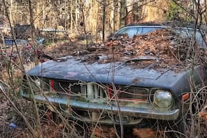 Una mujer heredó una colección de autos abandonados en el jardín de la casa de sus padres muertos