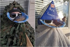 Una mujer inventó un comedero para aves que sostiene con su cabeza. El fin es poder ver a las aves de cerca