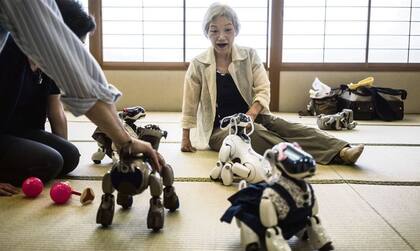Una mujer japonesa juega con perritos Aibo, en Tokio