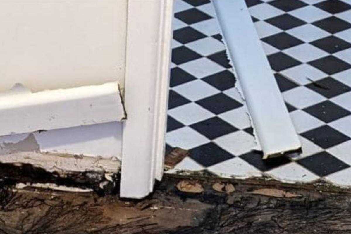 Una mujer mostró cómo quedó su casa en Australia y los usuarios en las redes ironizaron sobre el tema