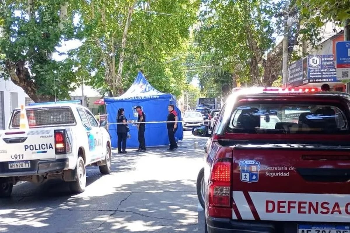 Una mujer murió arrollada por un colectivo en Pilar