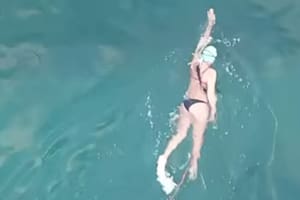Una mujer nada junto a un lobo de mar
