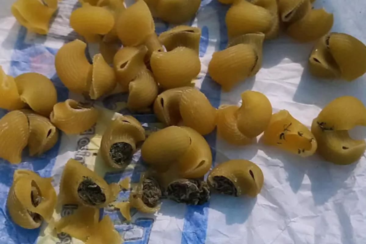 Una mujer quiso ingresar dos paquetes de fideos rellenos con marihuana para su hijo detenido en una comisaría de Quilmes