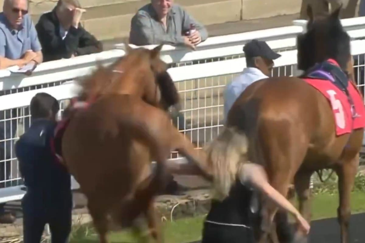 Una mujer recibió una brutal patada de parte de un caballo durante una carrera en un hipódromo de Reino Unido