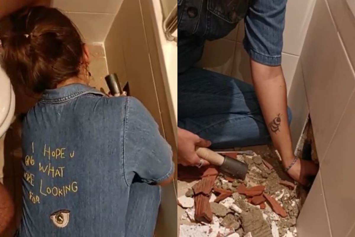 Una mujer rescató a su gato y fue viral en las redes sociales
Foto: TWITTER / @patatiIla