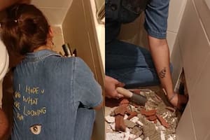 Una mujer rescató a su gato y fue viral en las redes sociales
Foto: TWITTER / @patatiIla