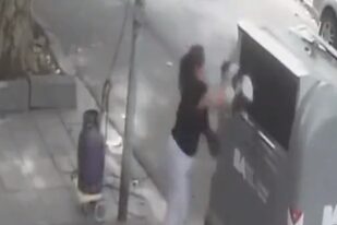 Una mujer tiró a una perra a un cesto de basura