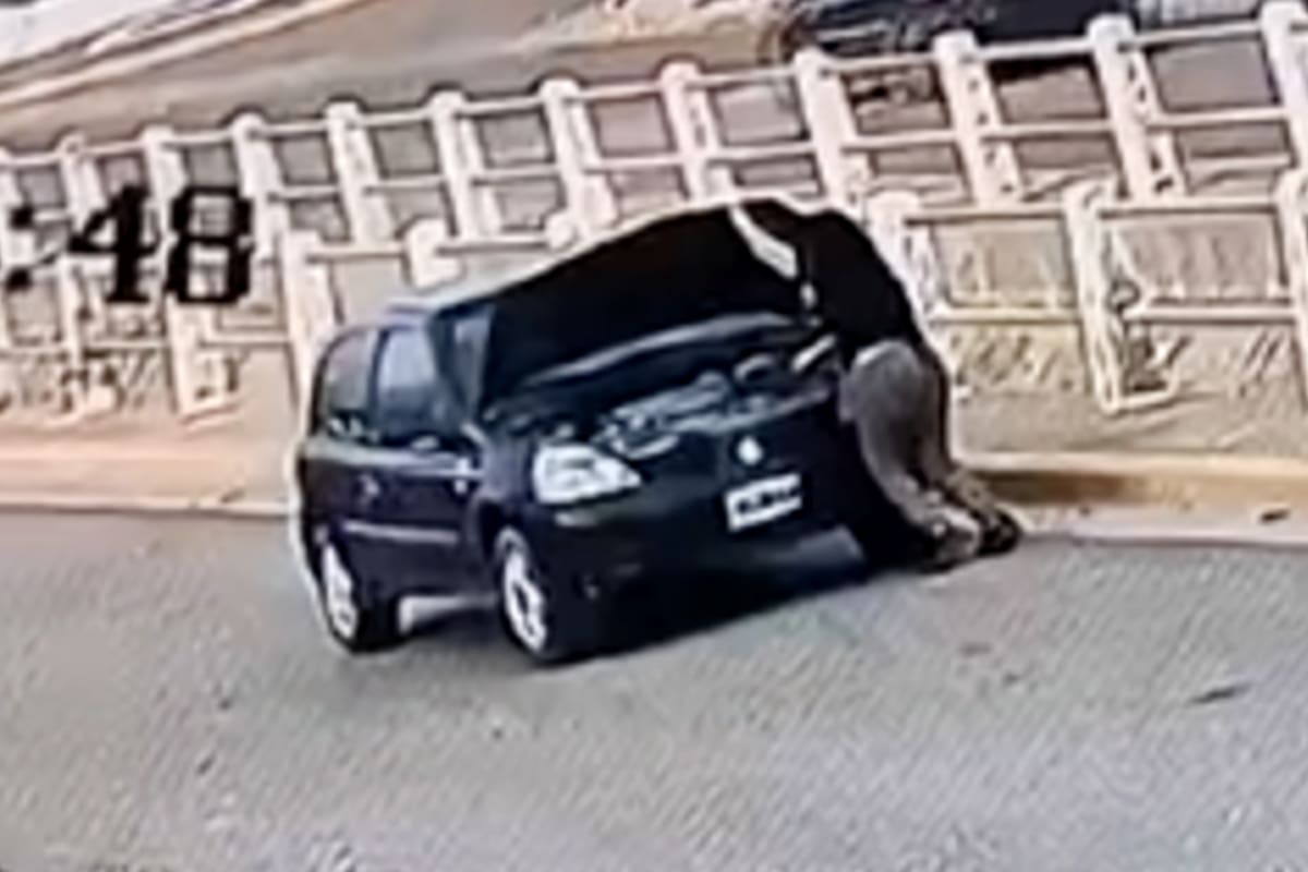 Una mujer se bajó de su auto para revisar la batería, olvidó poner el freno de mano y terminó atropellada