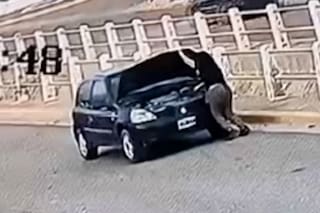 Una mujer bajó de su auto para revisar la batería, olvidó poner el freno de mano y terminó atropellada