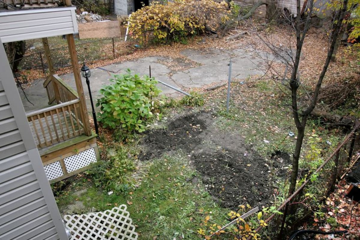 Una mujer se dirigió hacia su patio y se encontró algo que la horrorizó por completo