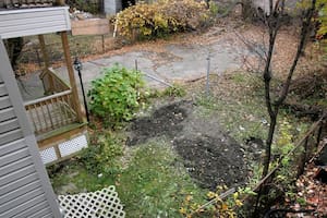 Una mujer se dirigió hacia su patio y se encontró algo que la horrorizó por completo