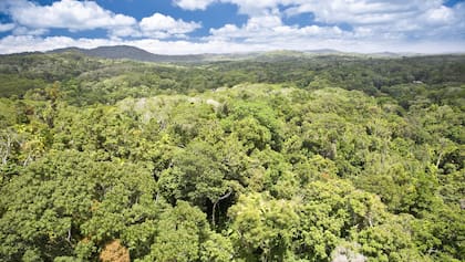 Una mujer se perdió durante siete días en un bosque en Queensland, Australia