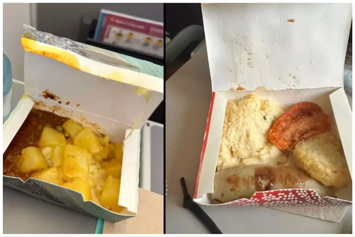 Una mujer se quedó asqueada con la comida que le dieron en el avión
