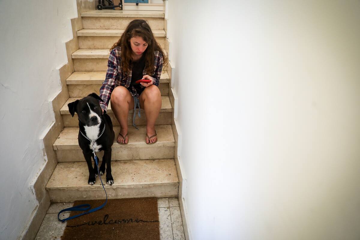 Una mujer y su perro esperan en las escaleras de su casa en Jerusalén luego de que sonaran sirenas de alerta roja por un misil desde Gaza