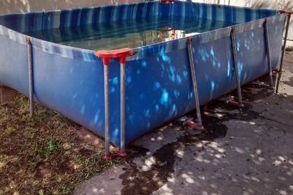 Una nena de tres años murió ahogada al intentar rescatar a su gato