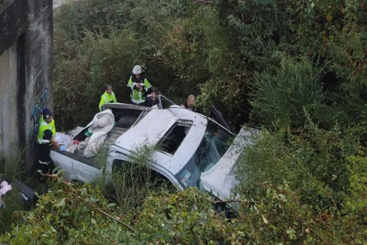 Una niña argentina de 12 años murió en Chile tras el vuelco de una camioneta en la que viajaba con su familia
