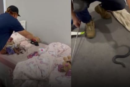Una niña australiana encontró una serpiente oculta entre sus peluches y tuvieron que sacarla