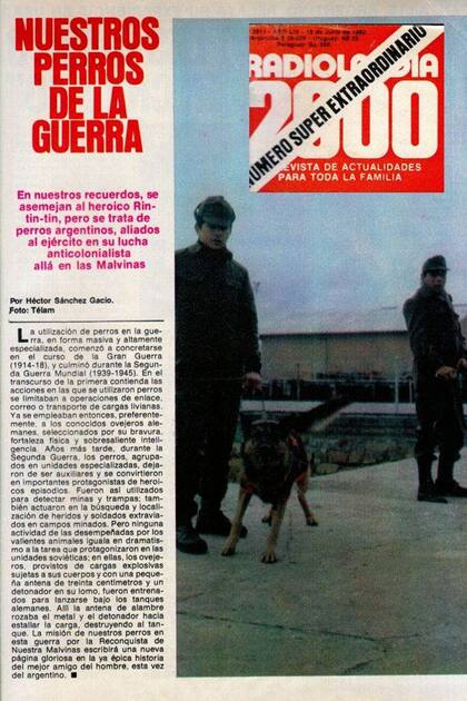 Una nota de la revista Radiolandia 2000 sobre los perros en Malvinas en abril de 1982- En la foto el soldado Angel Albarracin con el "Ranquel" y al fondo el soldado Carlos Silvas, el guía de la heróica "Xuavia" (colage por David Boskovic Favre)