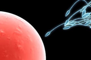 De la mano de la IA, logran encontrar espermatozoides en muestras con recuentos extremadamente bajos