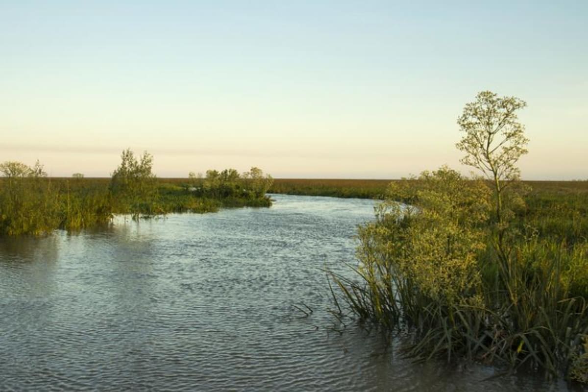 Una nueva isla se formó en el Río de la Plata, frente a las costas de San Isidro (Municipio de San Isidro)